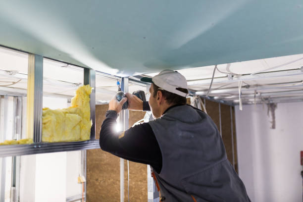 Best Commercial Insulation in Marshall, MO